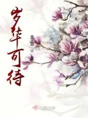 岁华冉冉