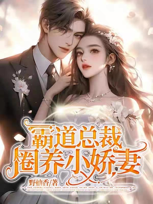 霸道总裁的小娇妻电视剧免费观看