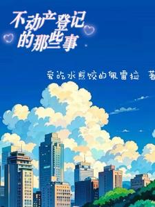 不动产登记的属地原则