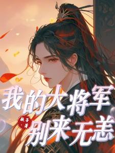 我的将军大人电视剧