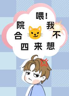 小说《四合院》