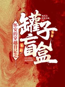怀安的穿越日记之罐子盲盒