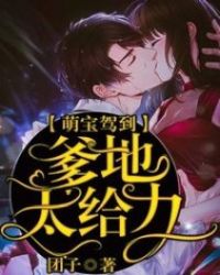 萌宝驾到爹地又求复婚啦全集解说